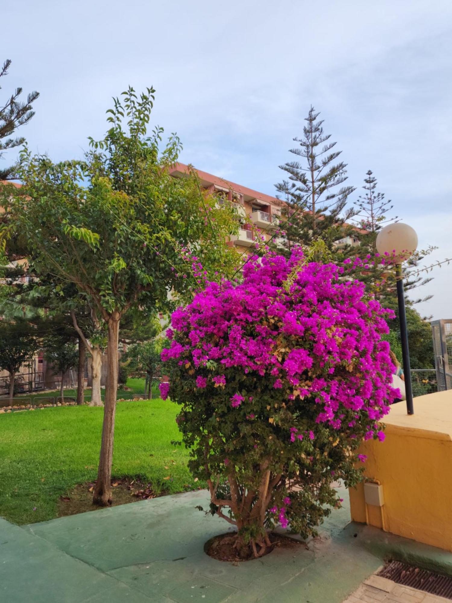 Apartamento Estudio Con Parque Acuatico- Wifi Fibra 500mb - Minerva 401